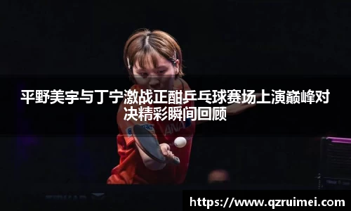 球速体育平台
